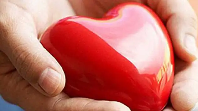 Kadavradan organ bağışı yüzde 22 arttı
