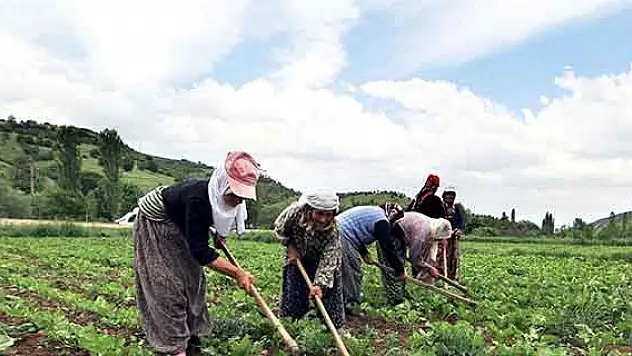 Kadın çiftçilere pozitif ayrımcılık