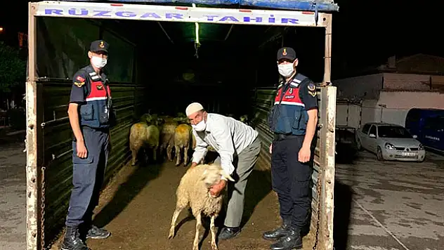 Kadınhanı'nda 40 küçükbaş hayvanı çalan  şüpheliler suçüstü yakalandı
