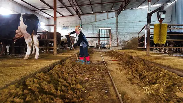 Kadınsın yapamazsın dediler, çiftlik kurdu