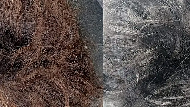 Kafasına taktığı perukla 6 ay kaçabildi