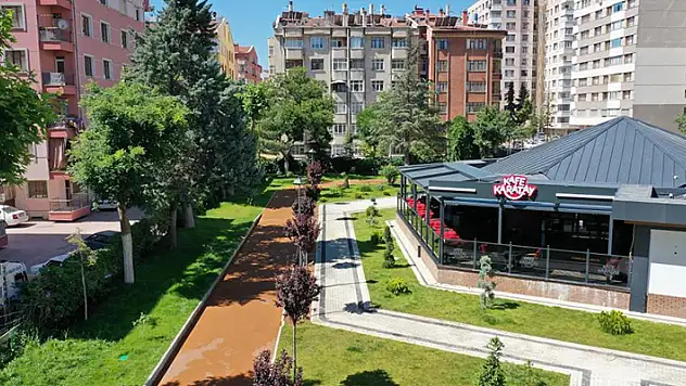 Kafe Karatayların sayısı artıyor
