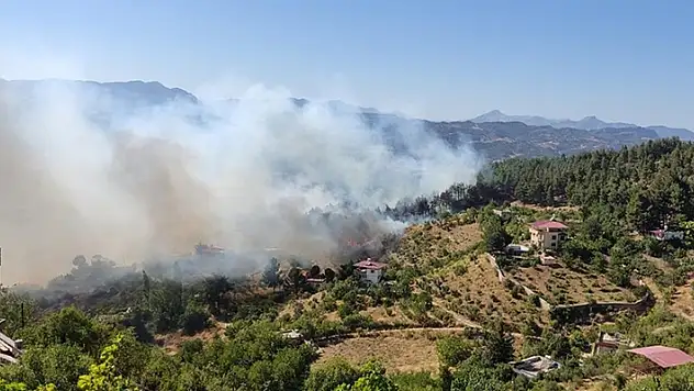 Kahramanmaraş'ta çıkan orman yangınları kontrol altına alındı
