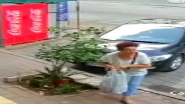 Kaldırımdaki süs bitkisini saksısıyla çaldı!