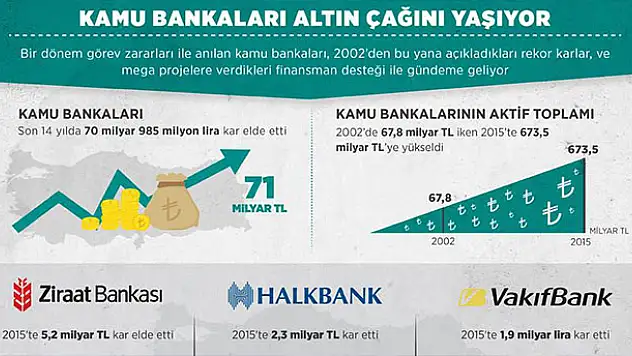 Kamu bankaları altın çağını yaşıyor