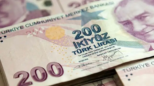 Kamu ihalelerinde Türk lirası zorunluluğu