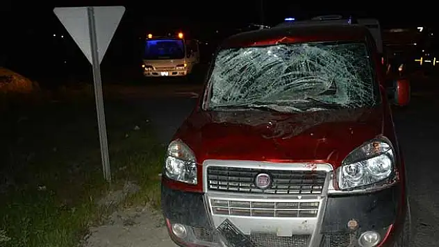 Kamyondan atlayan atlar trafik kazasına neden oldu