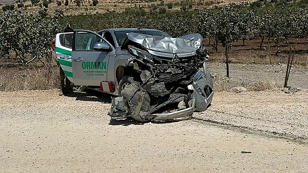 Kamyonet ile kamyon çarpıştı 2'si orman personeli 4 yaralı
