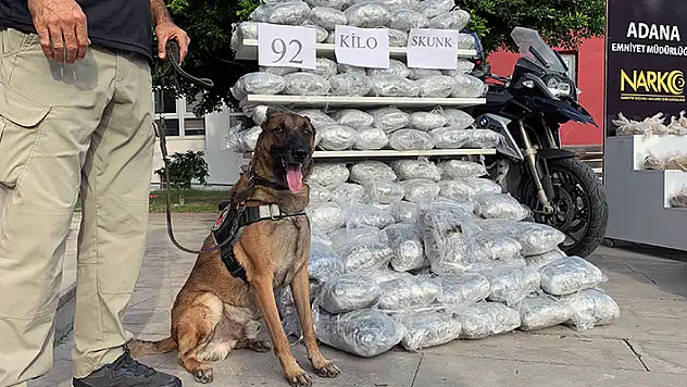 Kamyonette 105 kilo eroin, kamyonda 92 kilo skunk ele geçirildi 3 tutuklama
