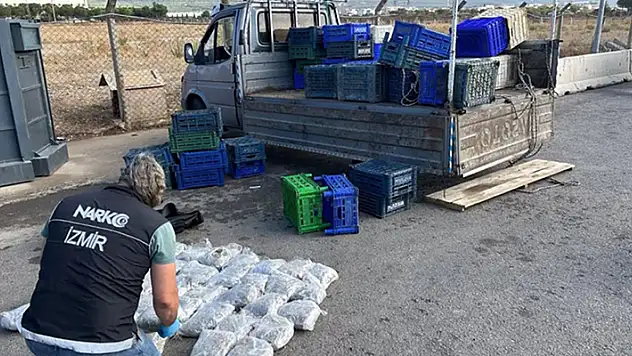 Kamyonetteki meyve kasalarının altından 21,5 kilo skunk çıktı

