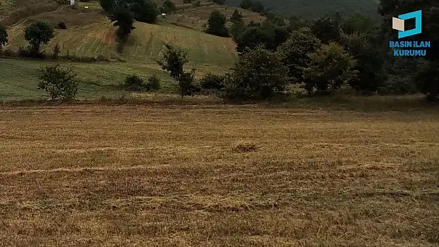 Kandıra'da icradan satılık tarla