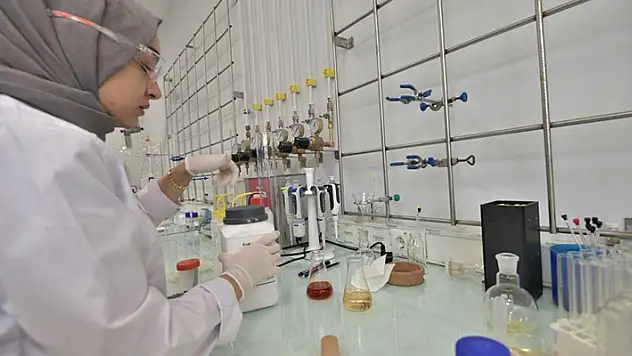 Kanser tedavisine yönelik destek alan proje NEÜ BİTAM'da yürütülecek
