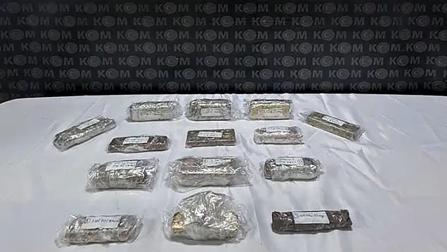 Kapıkule Gümrük Kapısı'nda 25 kilo 190 gram gümrüksüz altın ele geçirildi

