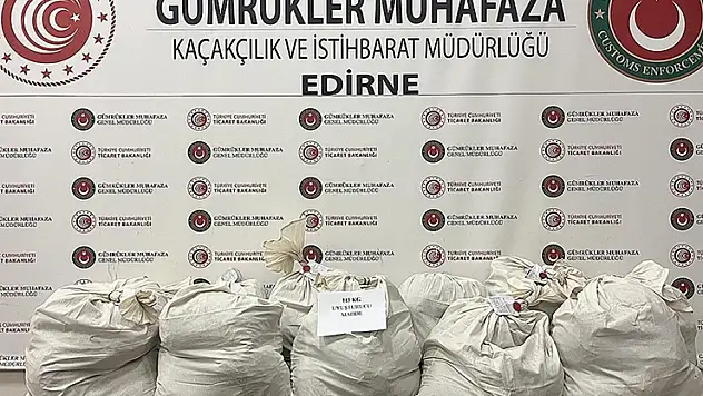 Kapıkule'de tır dorsesine gizlenmiş 113 kilo 664 gram esrar ele geçirildi