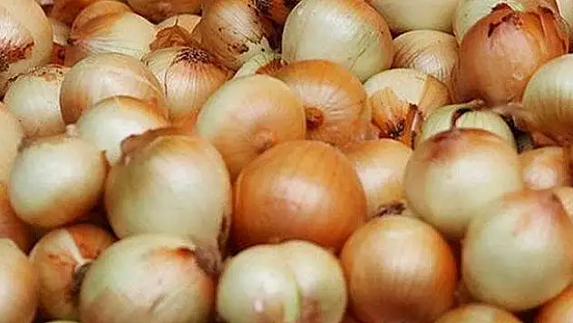 Kapılar açıldı ama soğan yine 10 lira