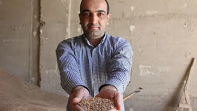 Kar buğdaya 'can suyu' oldu
