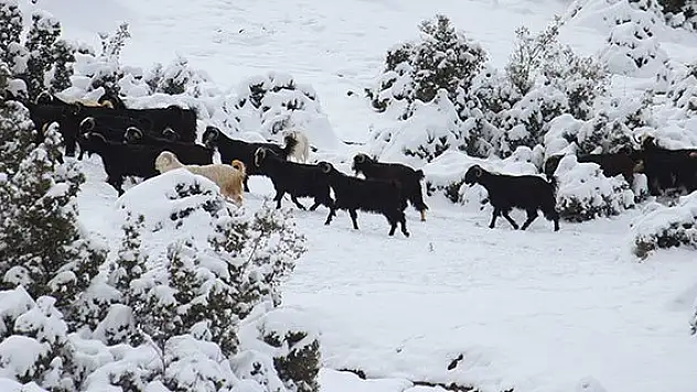 Kar hayvan besicileri zor duruma düşürdü