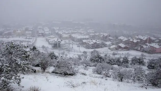 Kar yağışı tarıma bereket getirecek