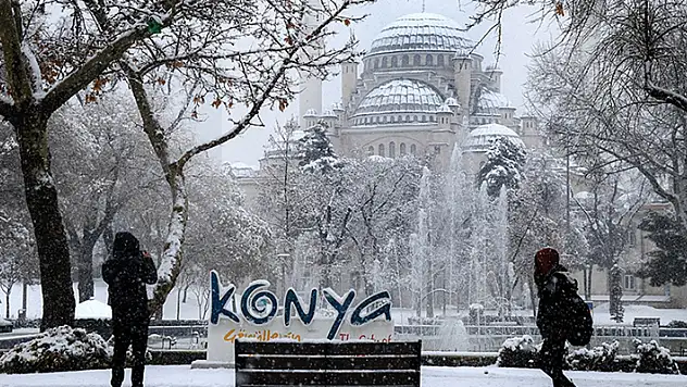 Kar yağışıyla beyaza bürünen Konya'da kuğuların dansı
