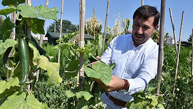 Karaaslan Hobi Bahçeleri'nin yeni sahipleri belli oluyor