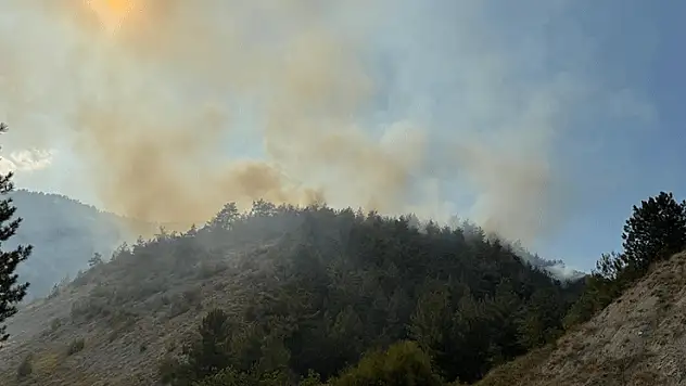 Karabük'te çıkan orman yangınına müdahale ediliyor