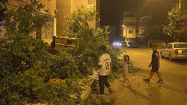 Karabük'te fırtınada ağaçlar devrildi