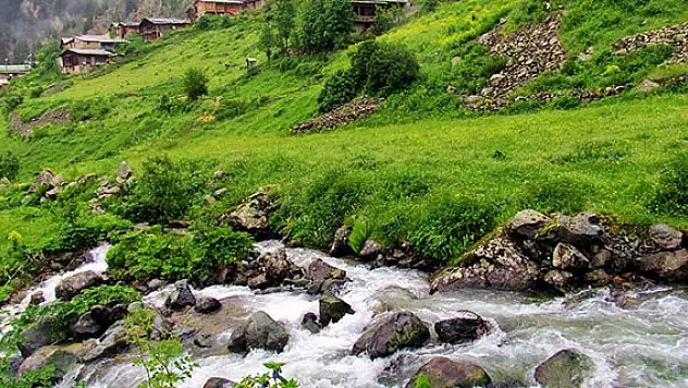 Karadeniz, Araplar için Davos