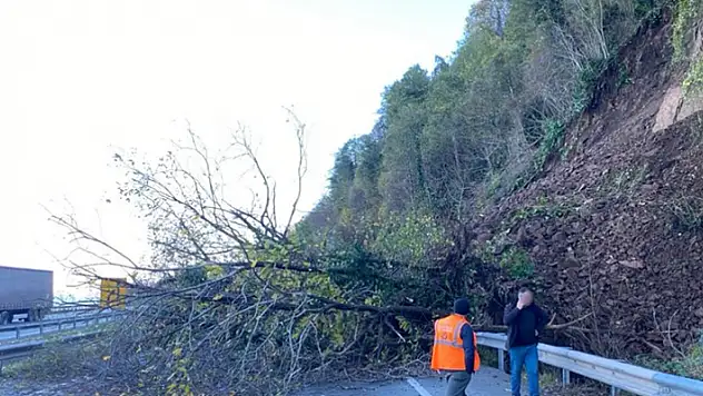 Karadeniz Sahil Yolu'nda heyelan: Yol ulaşıma kapandı

