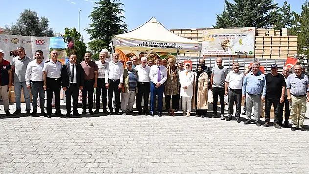Karaman'da arıcılara 895 organik kovan dağıtıldı
