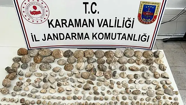 Karaman'da bin 780 adet bitki ve hayvan fosili ele geçirildi
