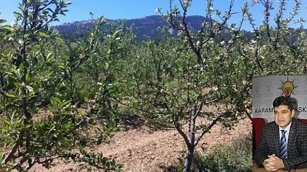 Karaman'da çiftçiye müjde