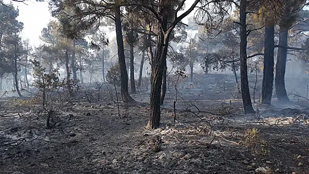 Karaman'da çıkan orman yangınında 10 dönüm alan zarar gördü