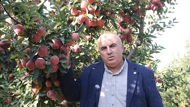 Karaman'da dalında 1,5 liraya alıcı bekleyen elma, kentteki zincir marketlerde 3-4 katına satılıyor
