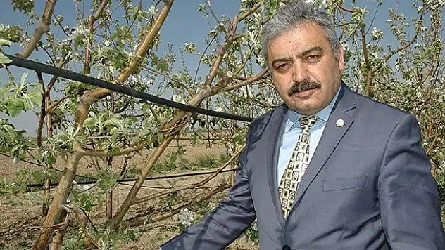 Karaman'da Don Zararı 336 Milyon Lira