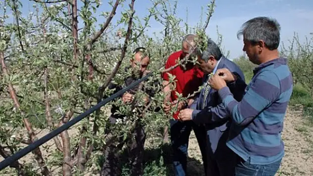 Karaman'da elma çıkmazı