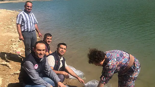 Karaman'da Gödet Baraj Göleti'ne 20 bin balık yavrusu bırakıldı
