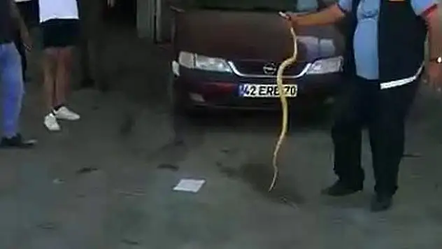 Karaman'da itfaiyecilerin otomobile giren yılanla imtihanı