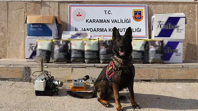Karaman'da Jandarma'dan kaçak tütün operasyonu: 2 tutuklama
