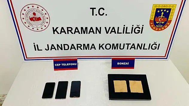Karaman'da kağıda emdirilmiş bonzai ele geçirildi
