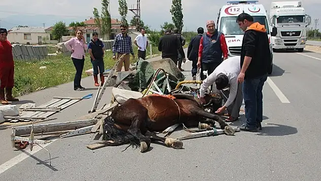 Karaman'da kamyonet at arabasına çarptı: 1 yaralı