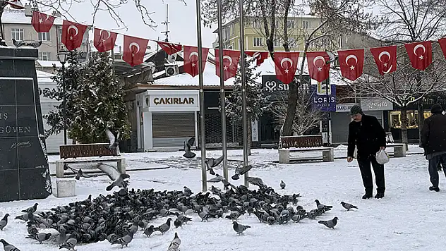 Karaman'da kar etkili oldu
