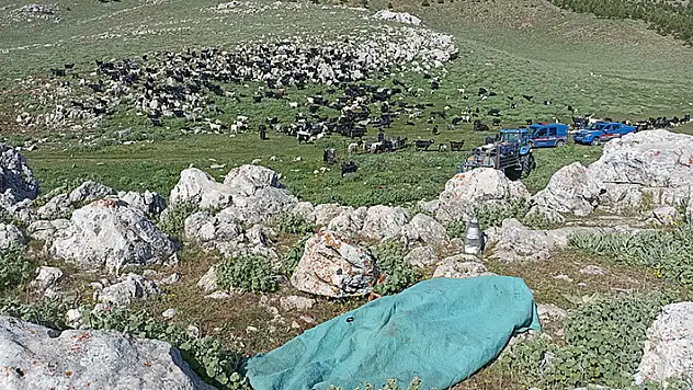 Karaman'da kayınbiraderini bıçakla öldüren kadın yakalandı
