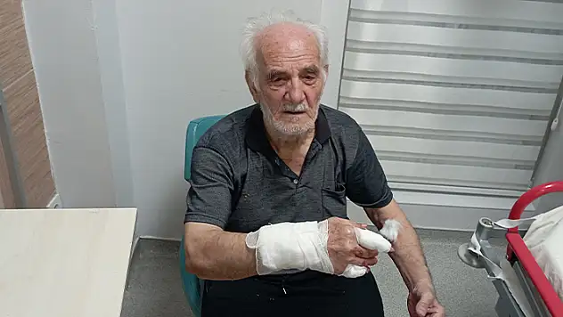 Karaman'da köpeğin saldırdığı yaşlı adam yaralandı
