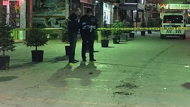 Karaman'da köpekten korkan bir şahıs, sahibi ile köpeğini bıçakladı
