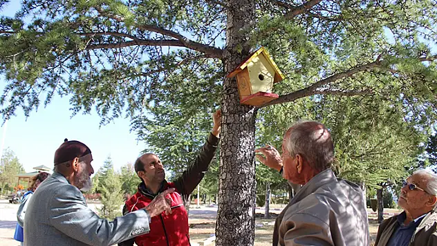 Karaman'da kuş evleri ağaçlara yerleştirildi
