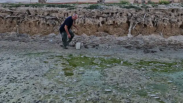 Karaman'da su seviyesi düşen barajdaki yavru balıkları kovalarla kurtarmaya çalıştılar
