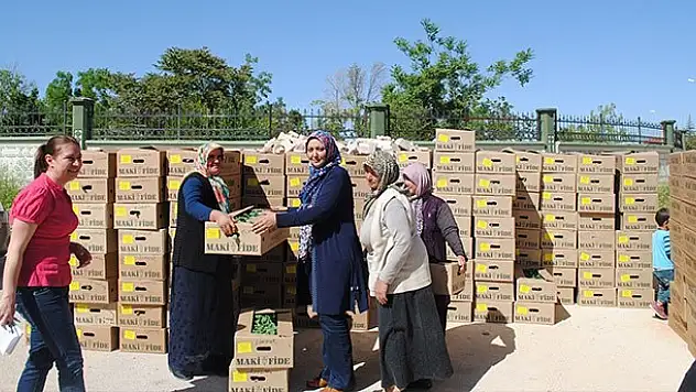 Karaman'da üreticiye 160 bin fide dağıtıldı