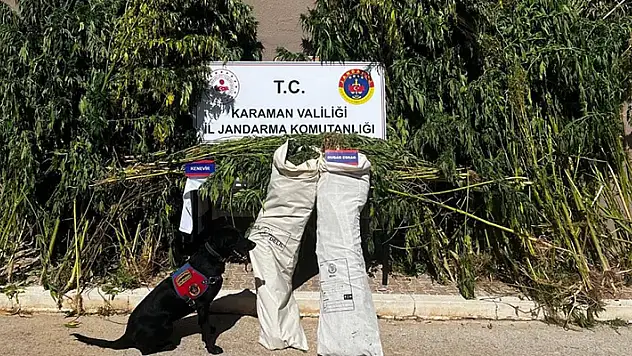 Karaman'da uyuşturucu operasyonlarında 2 şüpheli yakalandı
