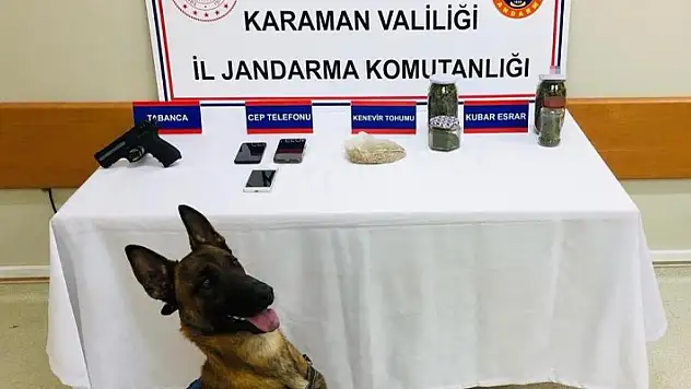 Karaman'da uyuşturucu operasyonu: 1 gözaltı 