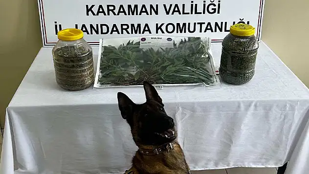 Karaman'da uyuşturucu operasyonunda yakalanan şüpheli tutuklandı